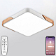 Потолочный светодиодный светильник Natali Kovaltseva LED LAMPS 81410