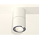 Потолочный светильник Ambrella Light Techno Spot XS7401160 (C7401, A2070, C7401, N7003)