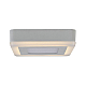 Потолочный светодиодный светильник Arte Lamp Altair A7709PL-2WH