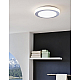 Потолочный светодиодный светильник Eglo Led Carpi 95283