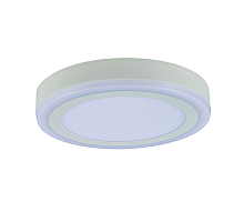 Потолочный светодиодный светильник Arte Lamp Antares A7816PL-2WH