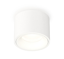 Потолочный светильник Ambrella Light Techno Spot XS7510020 (C7510, N7010)