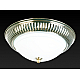 Накладной светильник Toplight Dora TL5040Y-02AB