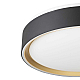 Потолочный светодиодный светильник Citilux Boss CL751251G