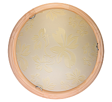 Настенно-потолочный светодиодный светильник Toplight Jane TL9640Y-00PN