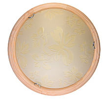 Настенно-потолочный светодиодный светильник Toplight Jane TL9640Y-00PN