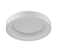 Потолочный светодиодный светильник Odeon Light Sole 4066/40CL