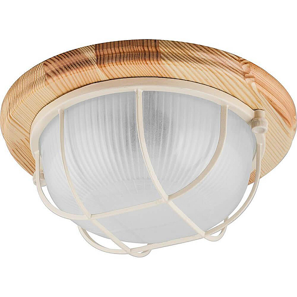Nastenno potolochnyy svetilnik feron nbo 0360012 11570