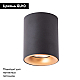 Потолочный светильник Arte Lamp Torre A1532PL-1BK