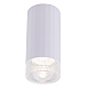 Потолочный светильник Crystal Lux CLT 048C WH