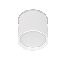 Накладной светильник Arlight SP-CYLINDO-R75-7W Day4000 (WH, 110 deg, 230V) 041246
