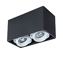 Потолочный светильник Arte Lamp Pictor A5654PL-2BK