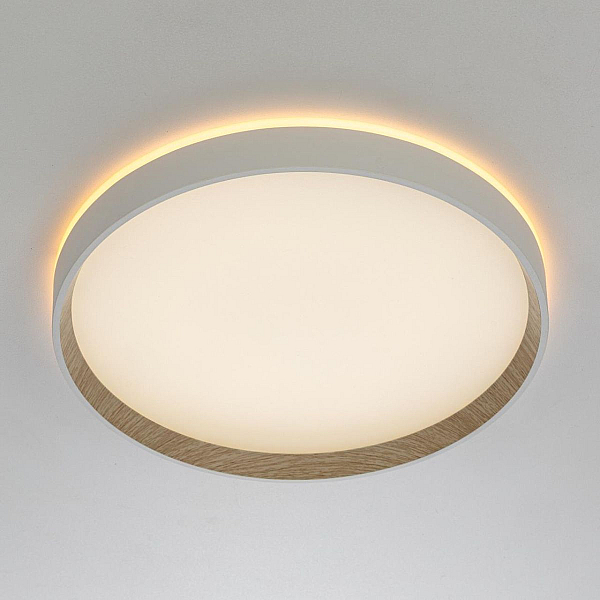 Потолочный светодиодный светильник Citilux Etalon CL750320R