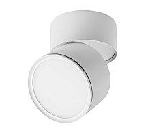 Накладной спот Lightstar Acuto 215886