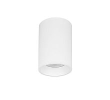 Накладной светильник Lightstar Rullo IP65 214476IP65