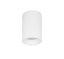 Накладной светильник Lightstar Rullo IP65 214476IP65