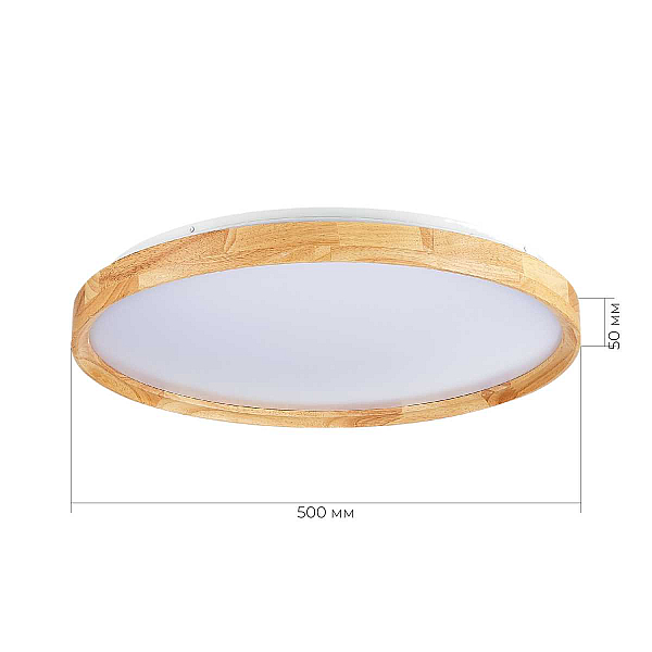 Потолочный сетодиодный светильник Evoluce Delia SLE201382-01