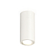 Накладной поворотный светильник Ambrella Light Techno XS7442001 (C7442, N7001)