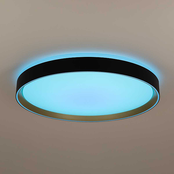 Потолочный светодиодный светильник Citilux Boss CL751451G