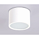 Потолочный светильник Ambrella light Techno Spot IP Protect TN6550