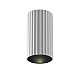 Потолочный светильник Maytoni Technical Ceiling Calipso TR218-1-GU10-BK