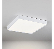 Потолочный светодиодный светильник Elektrostandard DLS034 24W 4200K 4690389134630