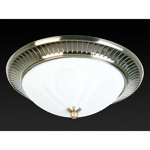Накладной светильник Toplight Fae TL5060Y-02AB