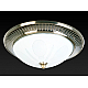 Накладной светильник Toplight Fae TL5060Y-02AB
