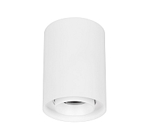 Накладной светильник Arlight SP-FOCUS-R86-10W Day4000 054858