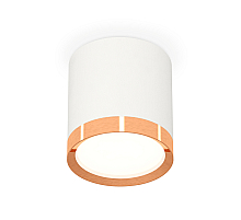 Потолочный светильник Ambrella Light Techno Spot XS8141005 (C8141, N8126)