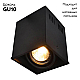 Потолочный светильник Arte Lamp Cardani A5942PL-1BK