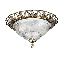 Потолочный светильник Arte Lamp Ocean A7847PL-2AB