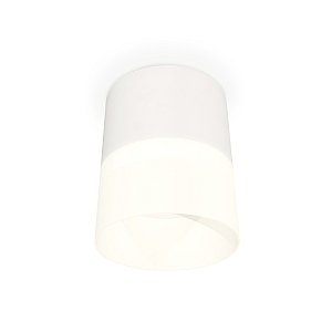 Потолочный светильник Ambrella Light Techno Spot XS8110002 (C8110, N8402)