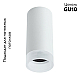 Потолочный светильник Arte Lamp Ogma A5556PL-1WH