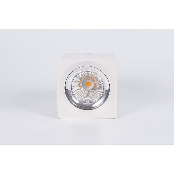 Накладной светодиодный светильник Fiberli CH-SD220-1(W) 12120103