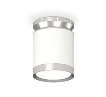 Потолочный светильник Ambrella Light Techno Spot XS8141025 (N8904, C8141, N8118)