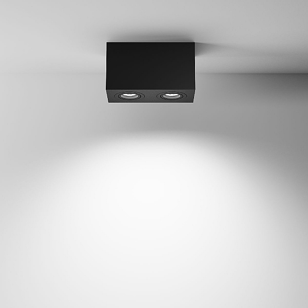 Потолочный светильник Maytoni Technical Atom C017CL-02B