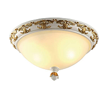Потолочный светильник Arte Lamp Benessere A9570PL-2WG