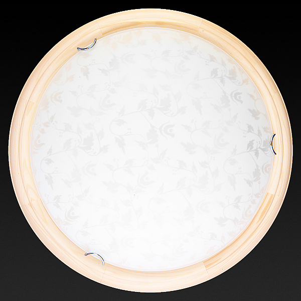 Настенно-потолочный светодиодный светильник Toplight Beatrice TL9280Y-00PN