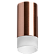 Накладной светильник Lightstar Rullo R43031 (214430+202431)