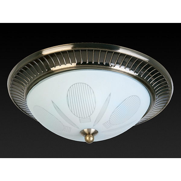 Накладной светильник Toplight Fae TL5060Y-02AB
