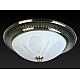Накладной светильник Toplight Fae TL5060Y-02AB
