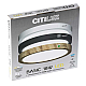 Накладной светильник Citilux CL738122N
