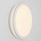 Накладной светильник Citilux CL711010V