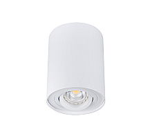 Накладной светильник Kanlux Bord DLP-50-W  22551