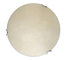 Настенно-потолочный светодиодный светильник Toplight Jane TL9640Y-00WH