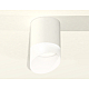 Накладной светильник Ambrella Light Techno XS6301066 (C6301, N6256)