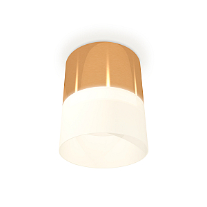 Потолочный светильник Ambrella Light Techno Spot XS8121011 (C8121, N8402)