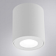 Потолочный светильник Arte Lamp Tino A1469PL-1WH