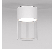 Накладной светильник Elektrostandard Lumen 4690389200007 a064710